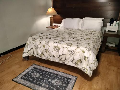 弗雷德里克LOVELY ONE BEDROOM BASEMENT PLACE的卧室配有一张床,地板上铺有地毯