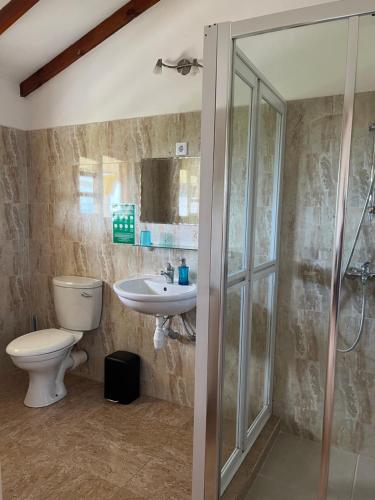 马埃岛Maison Marikel的浴室配有卫生间、盥洗盆和淋浴。