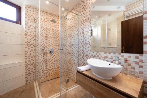 特罗吉尔Heritage Hotel Tragos的一间带水槽和玻璃淋浴的浴室