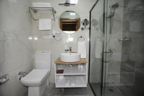 凡城Dedeman Van Resort & Aquapark的浴室配有卫生间、盥洗盆和淋浴。