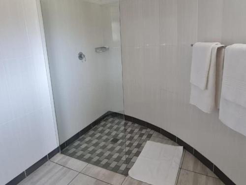 马塞卢Mmelesi Lodge的带淋浴的浴室和玻璃门