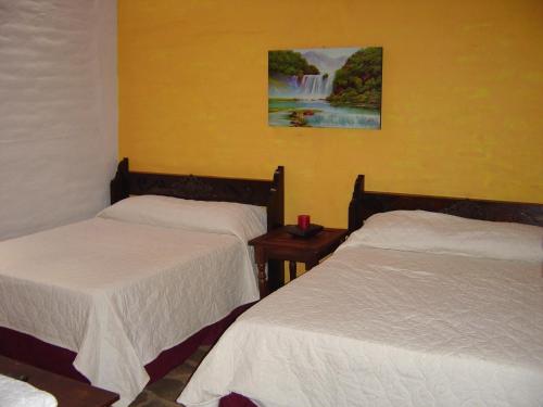 康塞普西翁德阿塔科圣多明各别墅酒店的两张床位于带瀑布壁画的客房内。