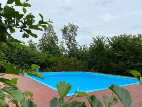 赫劳Glamping-tent 'Yatra Nirvana' met privé keuken en regendouche的一座绿树成荫的庭院中的蓝色游泳池