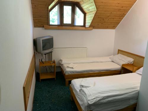 普雷代亚尔Hypnotic Villa Predeal的小房间设有两张床和电视