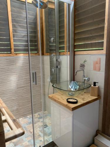DucosCabane des Zamoureux的一间带玻璃水槽和淋浴的浴室