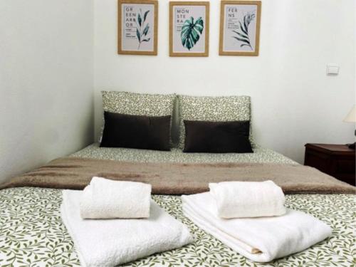 佩尼契SwordFish Casa da Luz的一间卧室配有一张带两个枕头的床