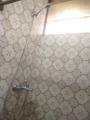 圣安娜Tiny home hexagonal de barro y techo vivo的带淋浴喷头的浴室