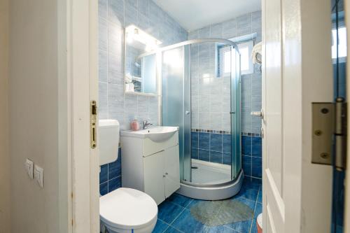 阿拉德贝拉酒店的蓝色瓷砖浴室设有卫生间和淋浴。