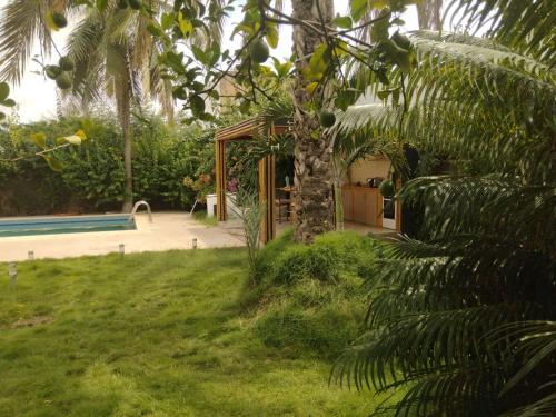 萨利波图尔house1的院子里有棕榈树的房子