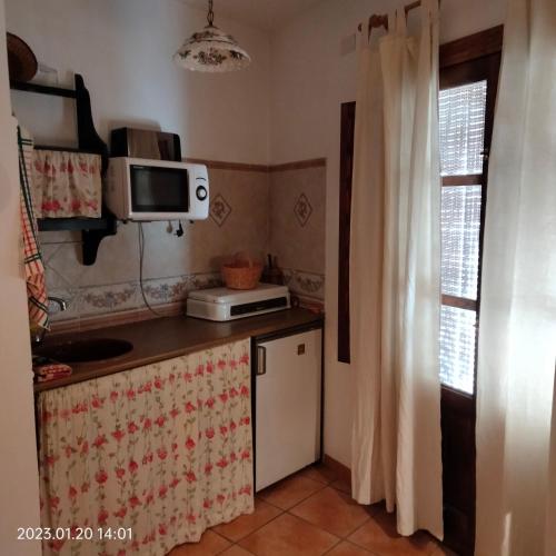 拉洛勒斯Apartamento vacacional en la Alpujarra的一间带微波炉和冰箱的小厨房