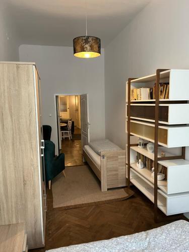 克拉科夫威斯尔纳宾馆的一间设有床和书架的房间