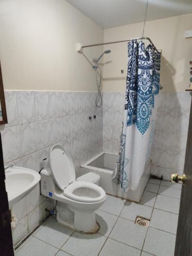 安东尼奥港Alma Patagona Hostel的浴室配有卫生间、盥洗盆和淋浴。