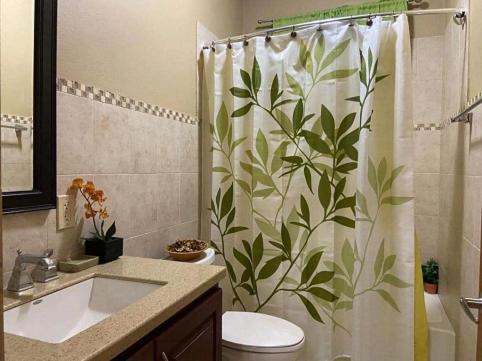 Great MountainSummervilleBVI的浴室设有淋浴帘和叶片。
