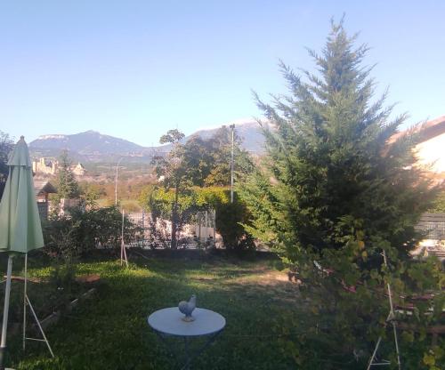 塔拉尔Chambre chez l'habitant "Entre Airs et Montagnes"的草地上带桌子的花园