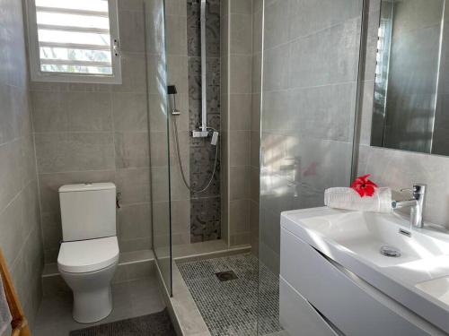 Saint MartinOrient Bay villa的带淋浴、卫生间和盥洗盆的浴室