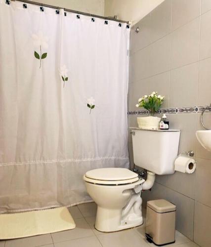 梅赛德斯Duplex Reencuentro的一间带卫生间和淋浴帘的浴室
