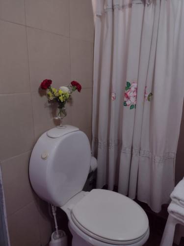 迈普Maipú soñado的浴室设有卫生间,上面有花瓶