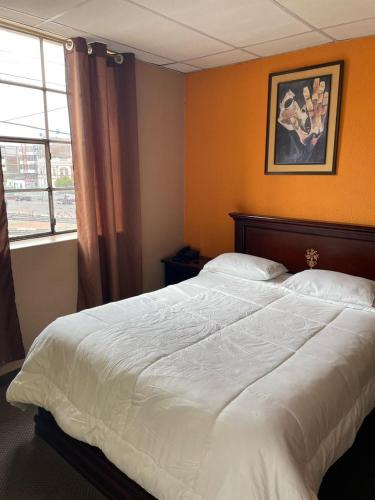 里奥班巴METROPOLITANO HOTEL的卧室配有一张大白色床和窗户