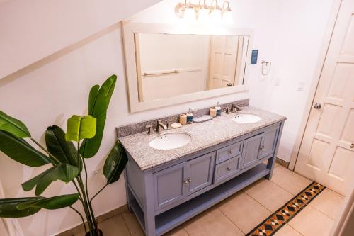 博卡斯德尔托罗热带套房酒店的一间带水槽和镜子的浴室