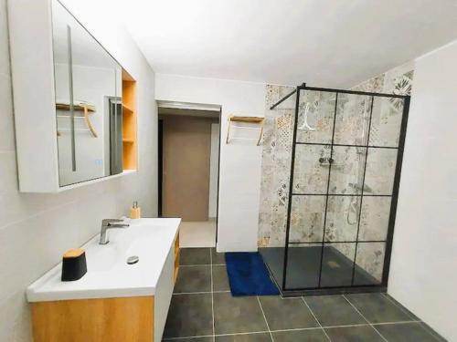 法兰西堡Appartement cosy的一间带水槽和淋浴的浴室