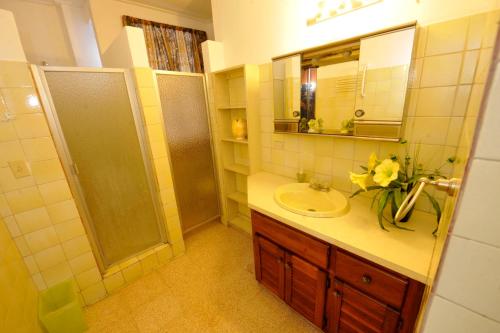 巴拿马城Totumas Lodge的一间带水槽和镜子的浴室