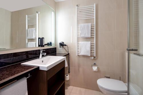 汉堡汉堡戴姆多梅塞会展中心城际酒店的一间带水槽、卫生间和镜子的浴室