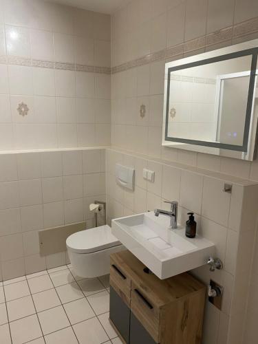 魏登Ferienwohnung im Herzen von Weiden的一间带卫生间、水槽和镜子的浴室