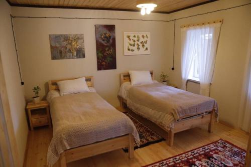 İvanovkaROOM Micheli's Guest house Ivanovka的一间卧室设有两张床和窗户。