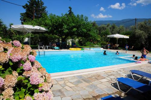 卡拉内拉帕里利亚一室公寓酒店 的一座游泳池,里面种满了水和花