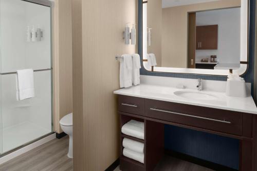 夏洛特Homewood Suites By Hilton Charlotte Uptown First Ward的一间带水槽、卫生间和镜子的浴室