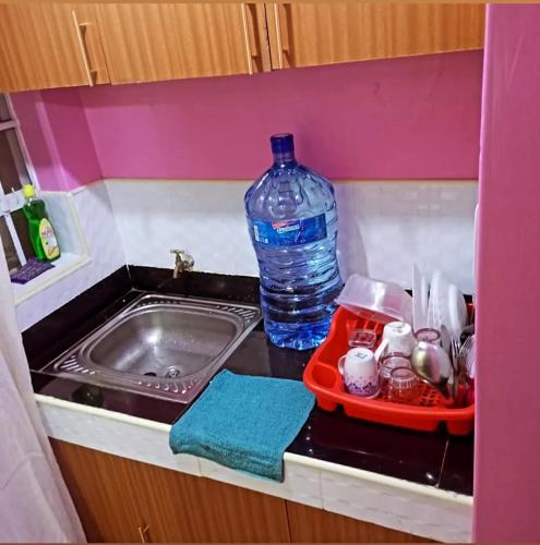 ThikaCosy studio apartment bnb in thika town的水槽旁的柜台上摆放着一瓶水