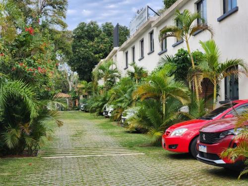 圣贝纳迪诺Hotel Oasis-Dream Holidays - La Petite France的棕榈树建筑旁的红色汽车