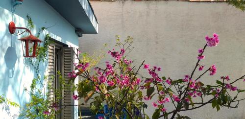 圣保罗米卡萨旅舍 - 孔戈尼亚斯的一座建筑物前有粉红色花的植物