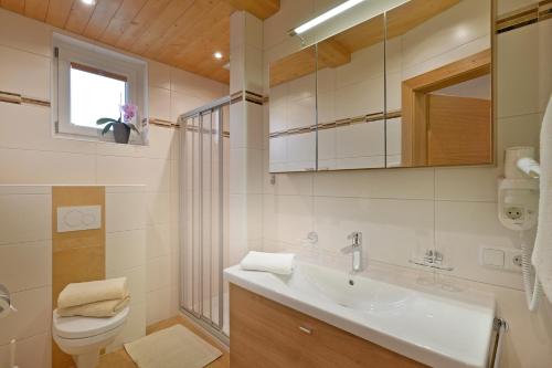 迈尔霍芬豪斯博利格弗里德酒店的一间带水槽、卫生间和镜子的浴室
