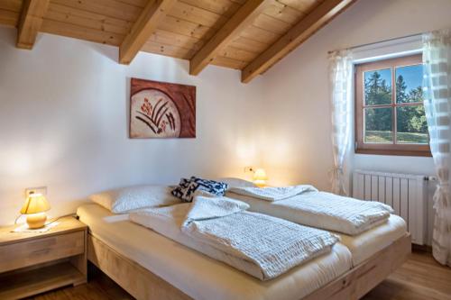 科尔皮缇亚Tschigghof的一间卧室设有一张大床和一个窗户。
