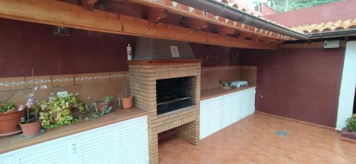 La GuanchaCasa Los Guanches的户外厨房设有植物户外烤箱