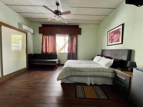 蒙得维的亚HOTEL MEDITERRANEO的一间卧室配有一张床和吊扇