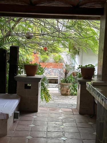 阿吉吉克Casa Miura Hotel Boutique的户外庭院种植了盆栽植物,设有长凳