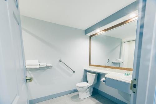 萨默赛德The Loyalist Country Inn & Conference Centre的一间带卫生间、水槽和镜子的浴室
