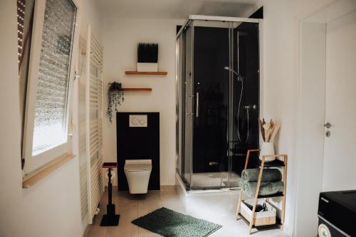 拉姆斯泰因-米森巴赫Offenes Stilvolles Stadthaus的一间带卫生间和玻璃淋浴间的浴室