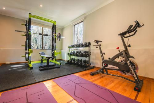 瓦尔迪维亚普塔德尔苏尔酒店的健身房,配有健身器材和自行车