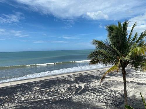 普拉亚科罗纳多Coronado Beachfront tropical home!的海滩上的棕榈树与大海