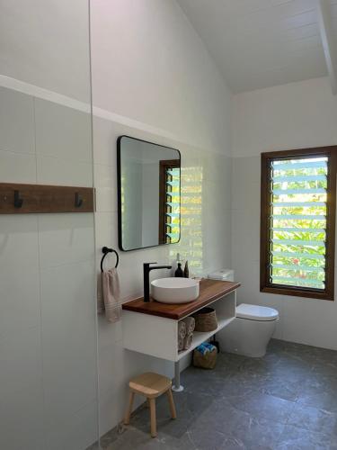 卢甘维尔Lope Lope Beach Bungalows的一间带水槽、镜子和卫生间的浴室