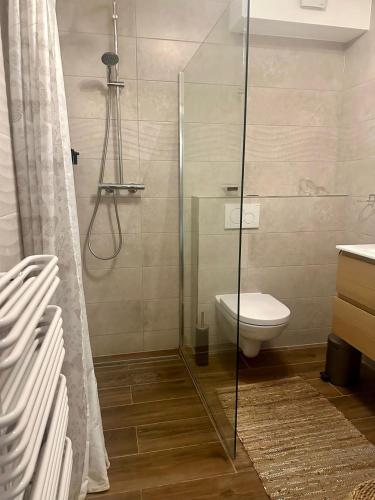卢森堡APPT RUE DE STRASBOURG的一间带玻璃淋浴和卫生间的浴室