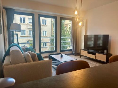 卢森堡APPT RUE DE STRASBOURG的带沙发和电视的客厅