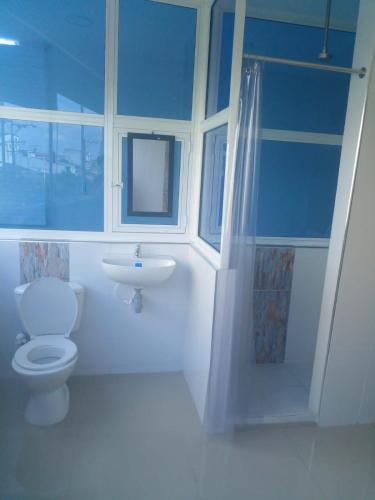 巴兰卡韦梅哈BOUTIQUE REAL的蓝色的浴室设有卫生间和水槽