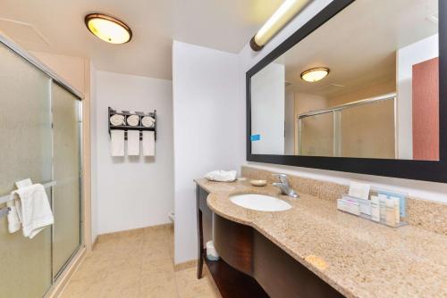 冈萨雷斯冈萨雷斯希尔顿恒庭酒店的一间带水槽和镜子的浴室