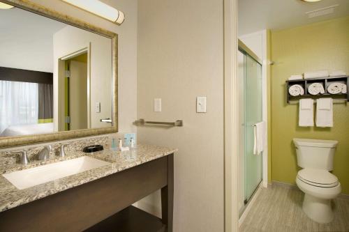 奇克托瓦加布法罗机场汉普顿套房酒店的一间带水槽、卫生间和镜子的浴室