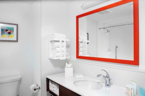 斯德伯克Hampton Inn & Suites Cedar Park North Austin, Tx的一间带水槽和红色镜子的浴室