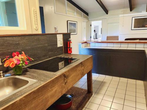 希洛阿诺特远足探险旅舍的厨房配有水槽和台面